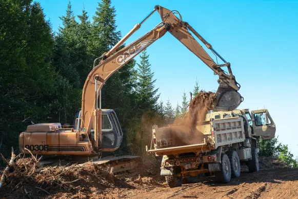 Lupin Casino Suporte